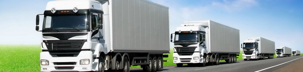 Доставка по России